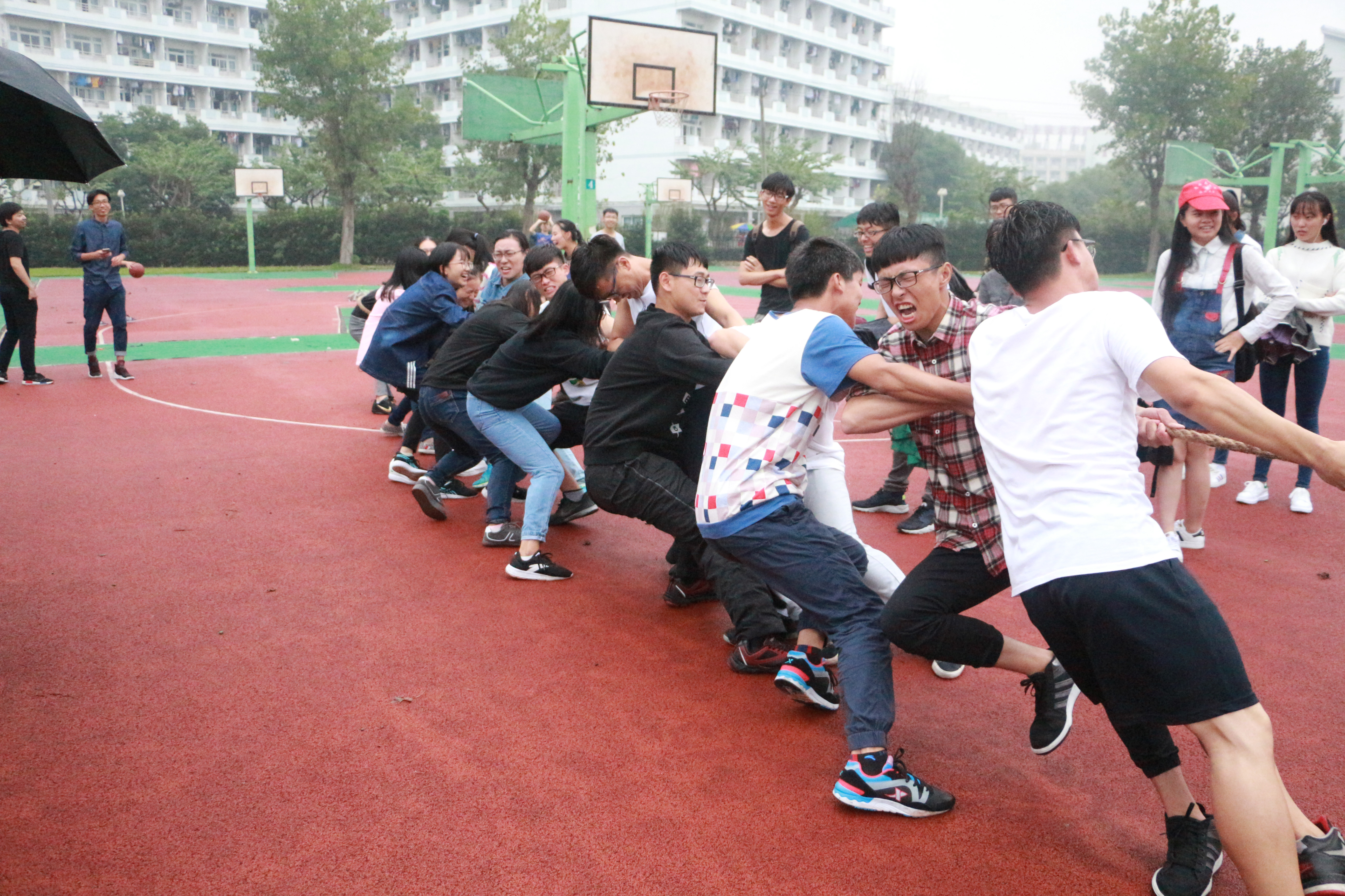 1476963284779024049.jpg 1476963284779024049.jpg