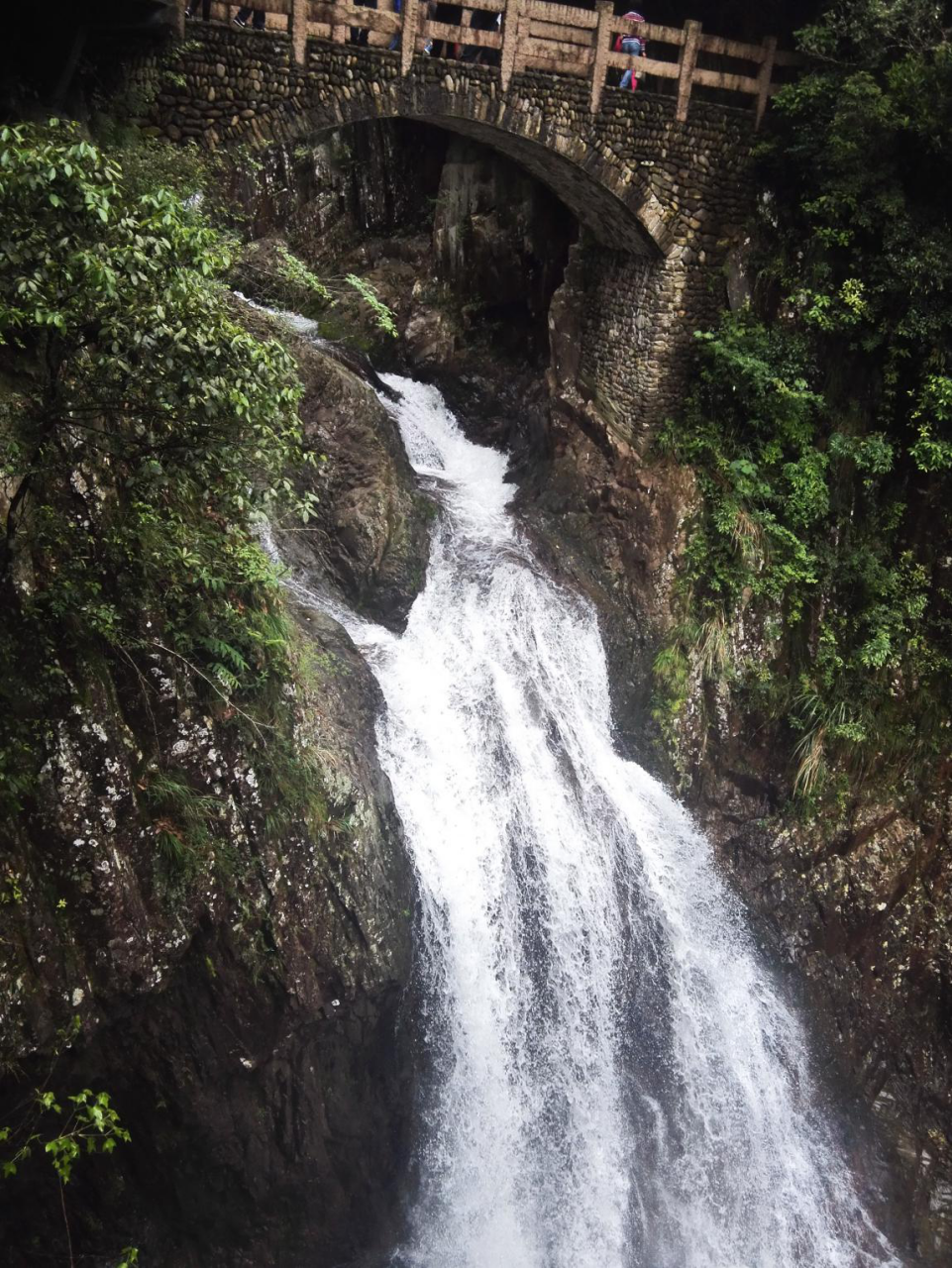 1494291637681000357.png 1494291637681000357.png